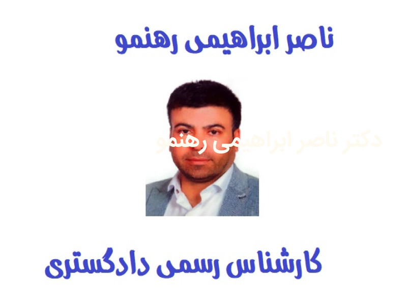ناصر ابراهیمی رهنمو
